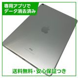 ڥХåƥ꡼85%iPadPro10.5顼256GBСեȥХ