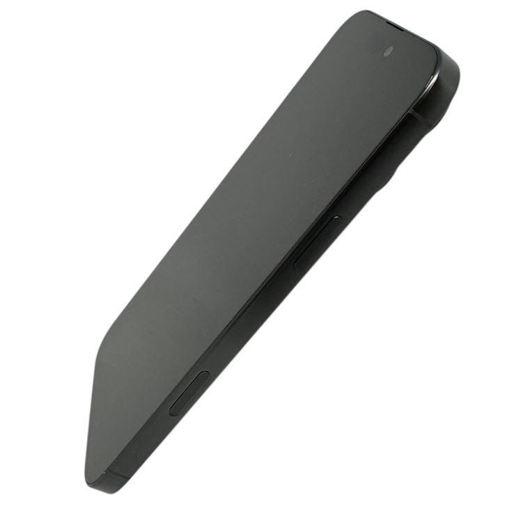 �ڥХåƥ꡼100���iPhone��16ProMax��256GB���֥�å������˥��ࡡSIM�ե꡼