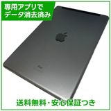 iPad��9��Wi��Fi��Cellular��64GB�����ڡ������쥤��SIM�ե꡼