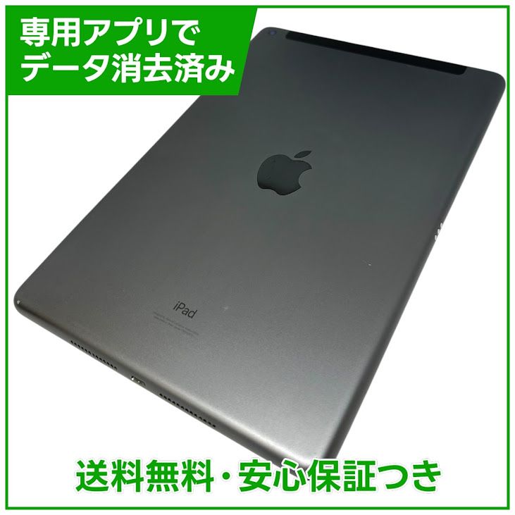 iPad��9��Wi��Fi��Cellular��64GB�����ڡ������쥤��SIM�ե꡼