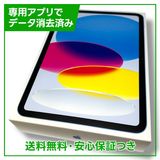 ڥХåƥ꡼100%iPad11WiFiCellular128GB֥롼au