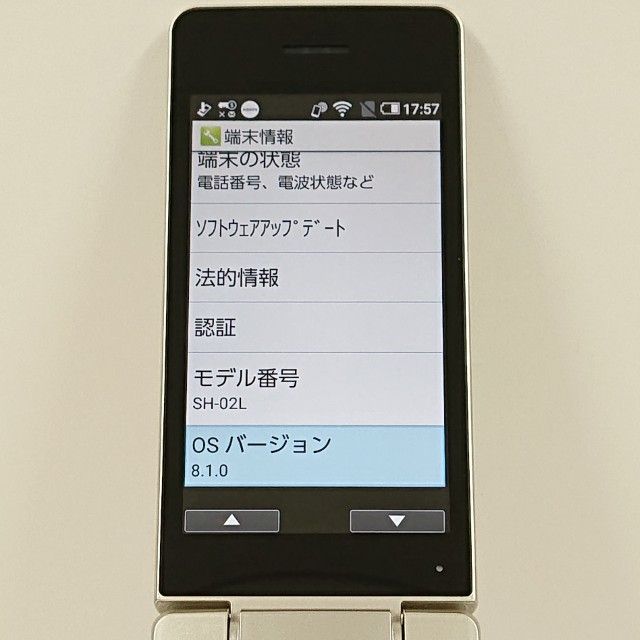 AQUOS �������� SH-02L �ɥ��� ������� c20451