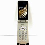 AQUOS �������� SH-02L �ɥ��� ������� c21340