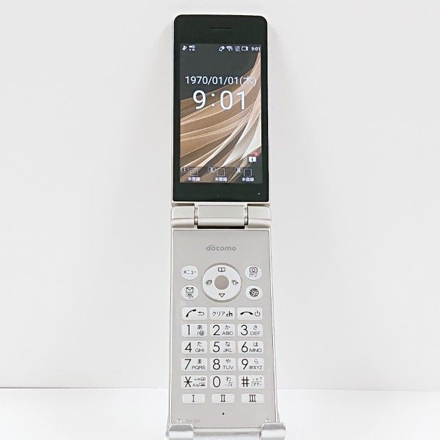 AQUOS �������� SH-02L �ɥ��� ������� c21032