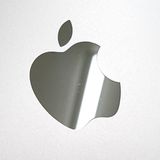 iPad mini ��5���� Wi-Fi + Cellular 64GB au c21849