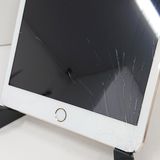 �ڥ�����ʡ�iPad mini 3 Wi-Fi + Cellular 16GB c21118