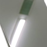 iPhoneSE ��2���� 64GB SoftBank �ۥ磻�� c18698