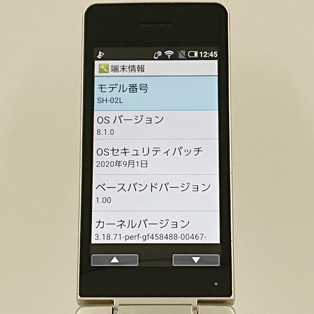 AQUOS �������� SH-02L �ɥ��� ������� c23166