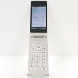 AQUOS �������� SH-02L �ɥ��� ������� c19677