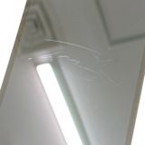 BASIO active SHG09 au С c15617