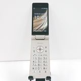 AQUOS �������� SH-02L �ɥ��� ������� c21431