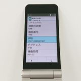 arrows �������� �١����å� F-41C �ɥ��� ������� c17150