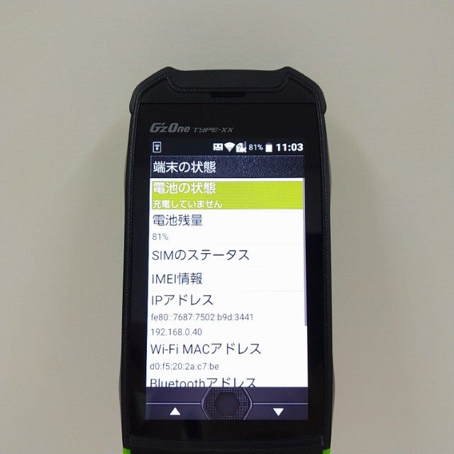 G'zOne TYPE-XX KYY31 au �ꥭ�åɥ��꡼�� c22459