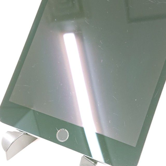 iPad mini 5 Wi-Fi��ǥ� 256GB Wi-Fi��ǥ� ���ڡ������쥤 c15866