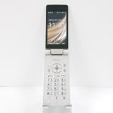 AQUOS �������� SH-02L �ɥ��� ������� c21450