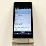 AQUOS �������� SH-02L �ɥ��� ������� c21018