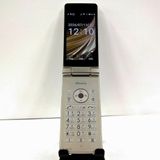 AQUOS �������� SH-02L �ɥ��� ������� c21016