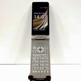 AQUOS �������� SH-02L �ɥ��� ������� c21434