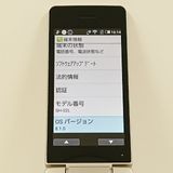 AQUOS �������� SH-02L �ɥ��� ������� c19701