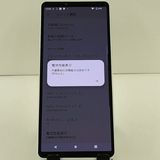 Xperia 10 V SOG11 au �ۥ磻�� c22712