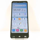 BASIO active SHG09 au С c13553