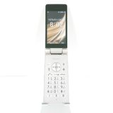 AQUOS �������� SH-02L �ɥ��� ������� c21862