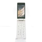 AQUOS �������� SH-02L �ɥ��� ������� c21858