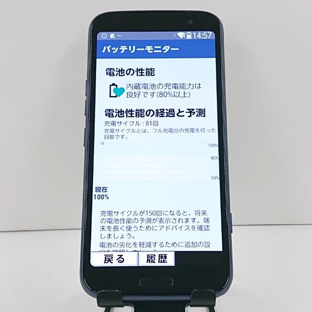 �餯�餯���ޡ��ȥե��� F-53E �ɥ��� �ͥ��ӡ� c21815