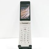�ڥ�����ʡ�AQUOS �������� SH-02L �ɥ��� ������� c20877