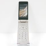�ڥ�����ʡ�AQUOS �������� SH-02L �ɥ��� ������� c19668