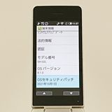 AQUOS �������� SH-02L �ɥ��� ������� c21031