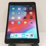 iPad mini 3 Wi-Fi 128GB Wi-Fi��ǥ� ���ڡ������쥤 c17990