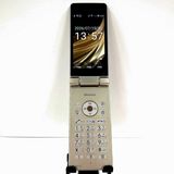 AQUOS �������� SH-02L �ɥ��� ������� c21343