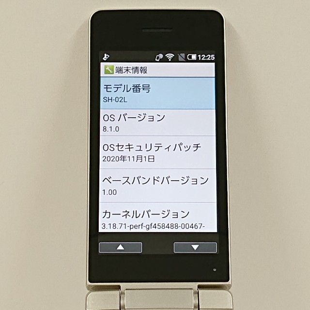 AQUOS �������� SH-02L �ɥ��� ������� c22225