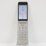 arrows �������� �١����å� F-41C �ɥ��� ������� c16020