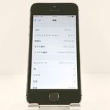 iPhone5s 16GB iPhone5s 16GB   au ���ڡ������쥤 c19898