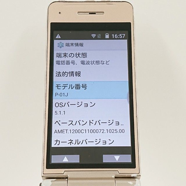 P-smart �������� P-01J �ɥ��� ������� c23124