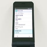 arrows �������� �١����å� F-41C �ɥ��� �ͥ��ӡ� c17584