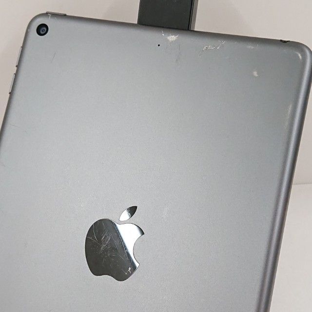 iPad mini 5 Wi-Fi��ǥ� 256GB Wi-Fi��ǥ� ���ڡ������쥤 c15866