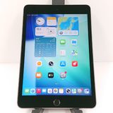 iPad mini 5 Wi-Fiǥ 256GB Wi-Fiǥ ڡ쥤 c15866