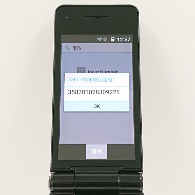 P-smart �������� P-01J �ɥ��� �֥�å� c20246