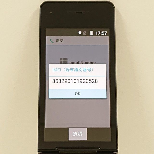 P-smart �������� P-01J �ɥ��� �֥�å� c20801