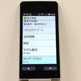 AQUOS �������� SH-02L �ɥ��� ������� c21343