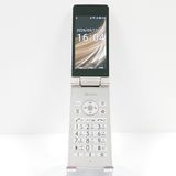 AQUOS �������� SH-02L �ɥ��� ������� c19571