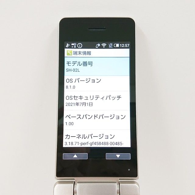 AQUOS �������� SH-02L �ɥ��� ������� c21454