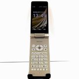 AQUOS �������� SH-02L �ɥ��� ������� c21021