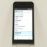arrows �������� �١����å� F-41C �ɥ��� ������� c20537