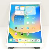 iPad Air 3 Wi-Fi+Cellular 64GB SIM�ե꡼ ����С� c19684