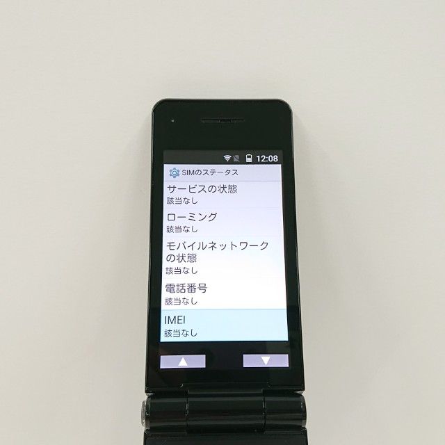 P-smart �������� P-01J �ɥ��� �֥�å� c20791