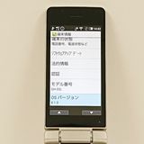 AQUOS �������� SH-02L �ɥ��� ������� c21039
